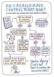 Do I Really Have Control Right Now: The Flowchart